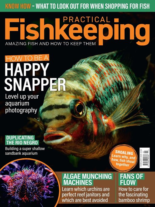 Title details for Practical Fishkeeping by Warners Group Publications Plc - Available